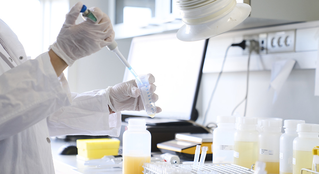 lab